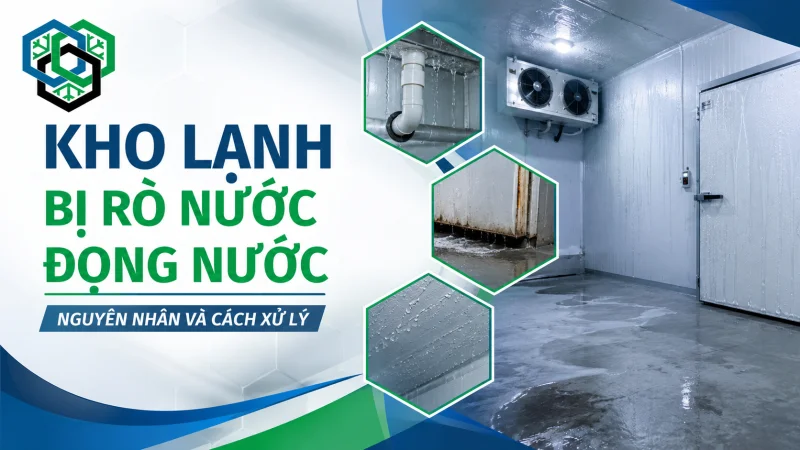 Kho lạnh bị rò nước, đọng nước trong kho: Nguyên nhân thường gặp và cách xử lý