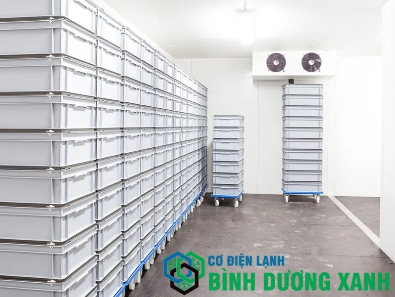 Sửa Kho Lạnh Dầu Tiếng